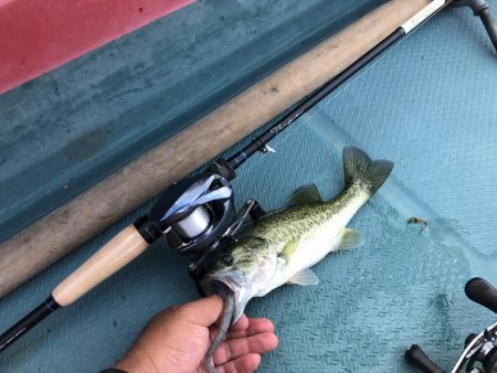 釣れると話題のディープホールへ