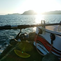 集中、執念、我慢！