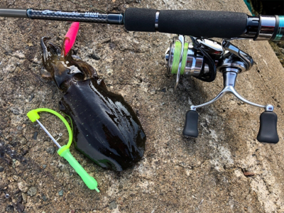 スクスク育ってますねぇ♡