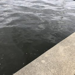 用事のついでに