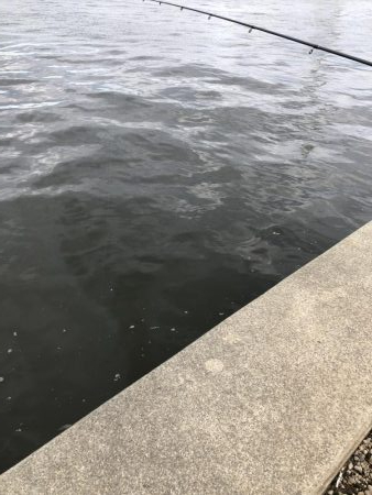 用事のついでに