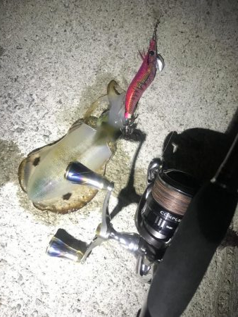 久々ホームのエギング