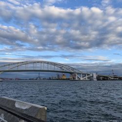 夕マズメの調査