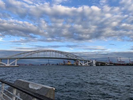 夕マズメの調査