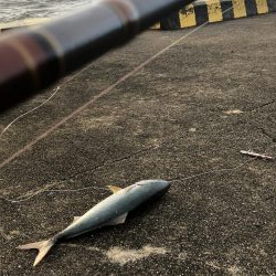 台風の日に釣行