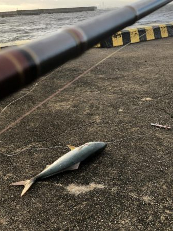 台風の日に釣行