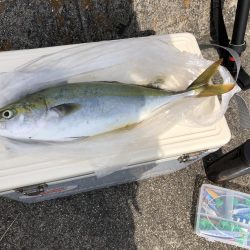 ショアジギング