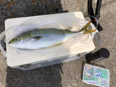 ショアジギング