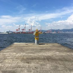史上最高青物祭り