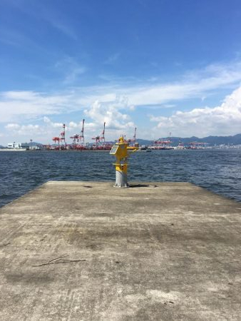 史上最高青物祭り