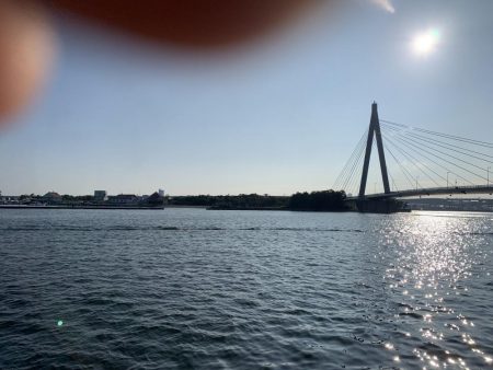 アジはアジでもメッキ