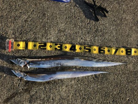 秋のキャスティングゲーム