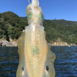 数はでませんでしたが良型揃い