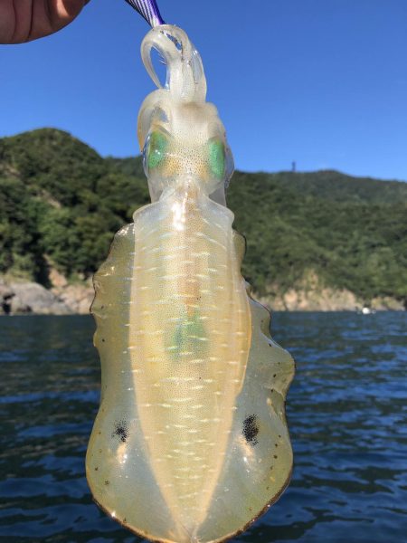 数はでませんでしたが良型揃い