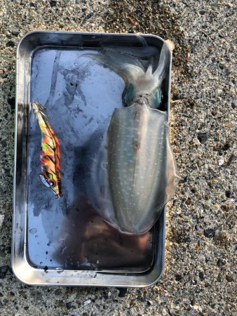 シーズン初釣行♪