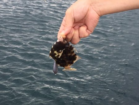 投げ釣りできず