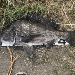 イチノ兄弟、釣果!