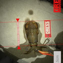 9月27日神戸ランガン