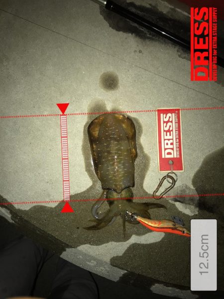 9月27日神戸ランガン