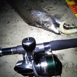 悲しいお知らせですが……