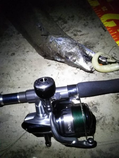 悲しいお知らせですが……