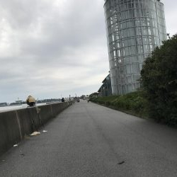 釣り人多っ‼︎