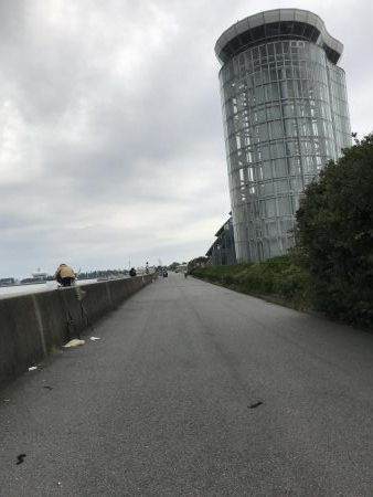 釣り人多っ‼︎