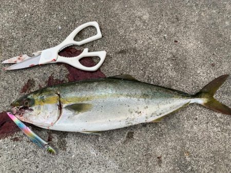 運動会終わりに