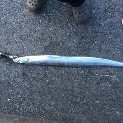 初めて行った釣り。