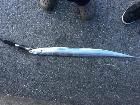 初めて行った釣り。