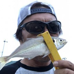 アジング絶好調‼️