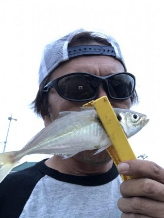 アジング絶好調‼️