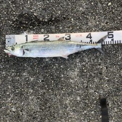 人!人!人!人‼︎‼︎