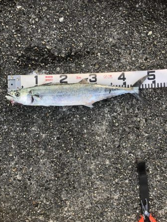 人!人!人!人‼︎‼︎