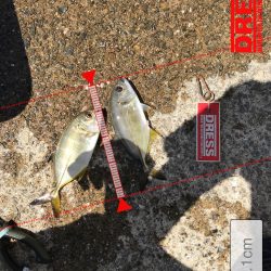 9月12日メッキゲーム