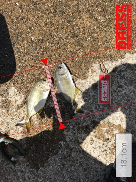 9月12日メッキゲーム