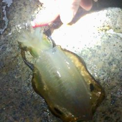 ウォーミングアップ 完了！？