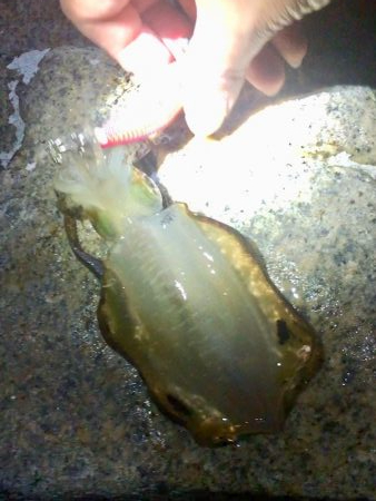 ウォーミングアップ 完了！？