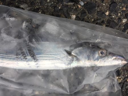 泊まり釣行‼️…