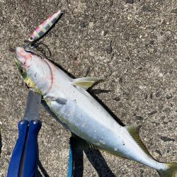 天気は晴天！釣果は曇天！？