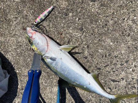 天気は晴天！釣果は曇天！？