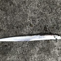 秋のキャスティングゲーム2