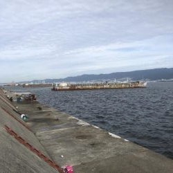 青物祭りちゃうかったー