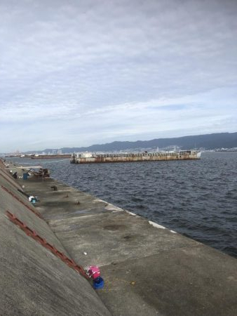 青物祭りちゃうかったー