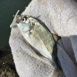 メッキ祭りの後に！