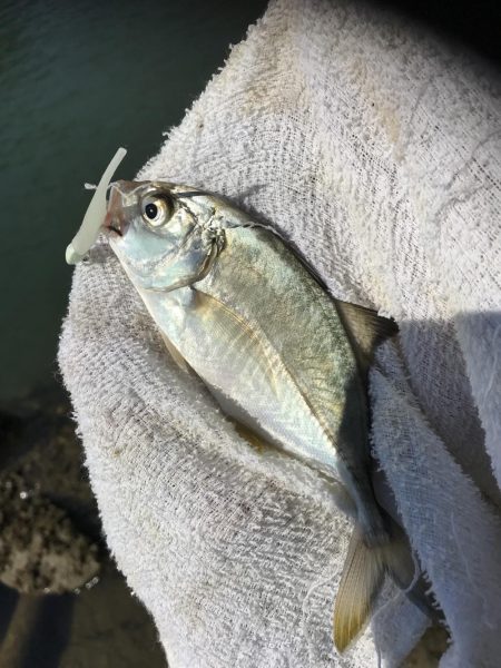 メッキ祭りの後に！