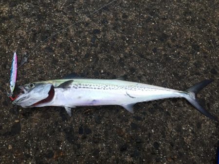 秋の醍醐味。〜醍醐味of the 秋〜