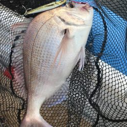 リアルベイトジグ