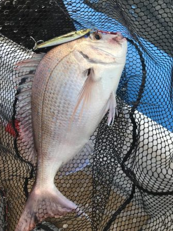 リアルベイトジグ