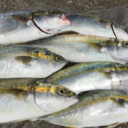 初ポーアイ沖堤‼️